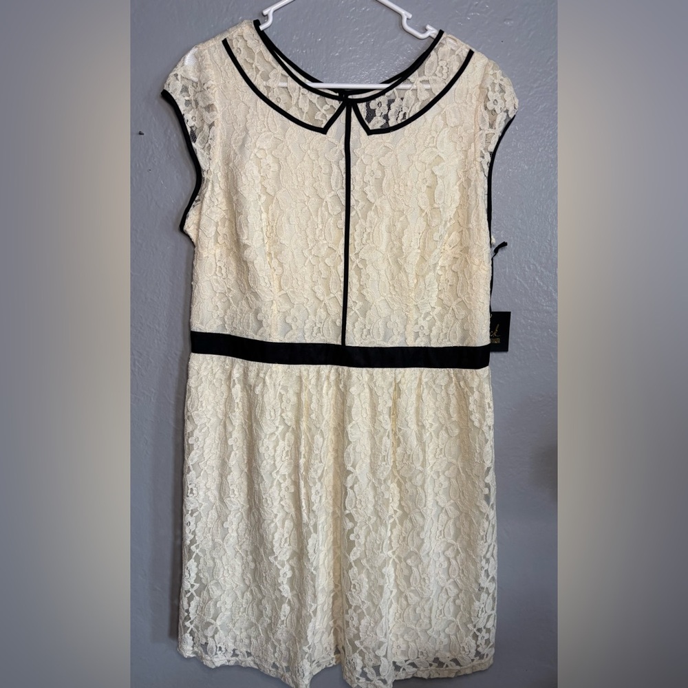 BB Dakota NWT Cream Lace Dress Black Trim‎ Size 14